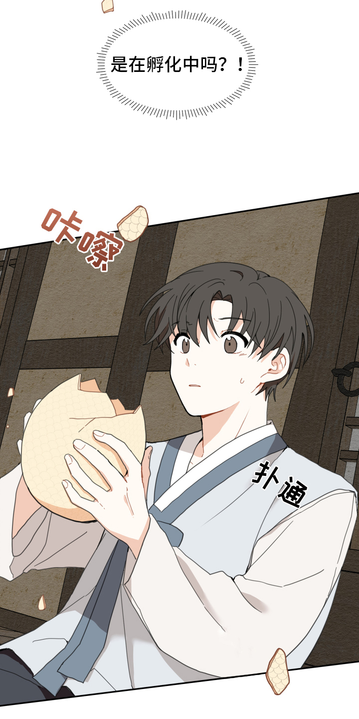砚与龙漫画,第2章：孵化2图