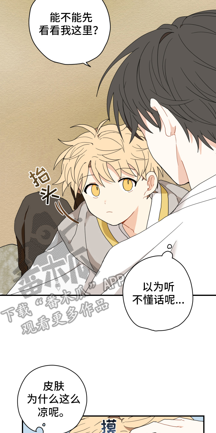 砚与龙漫画,第11章：依赖2图
