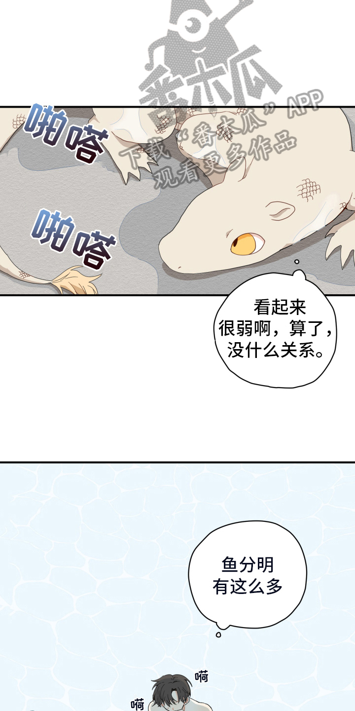 砚与龙漫画,第8章：抓鱼2图