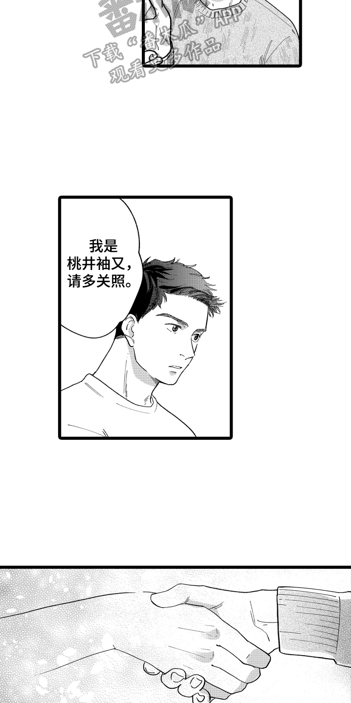 红豆和绿豆的爱情漫画,第5章：合作2图