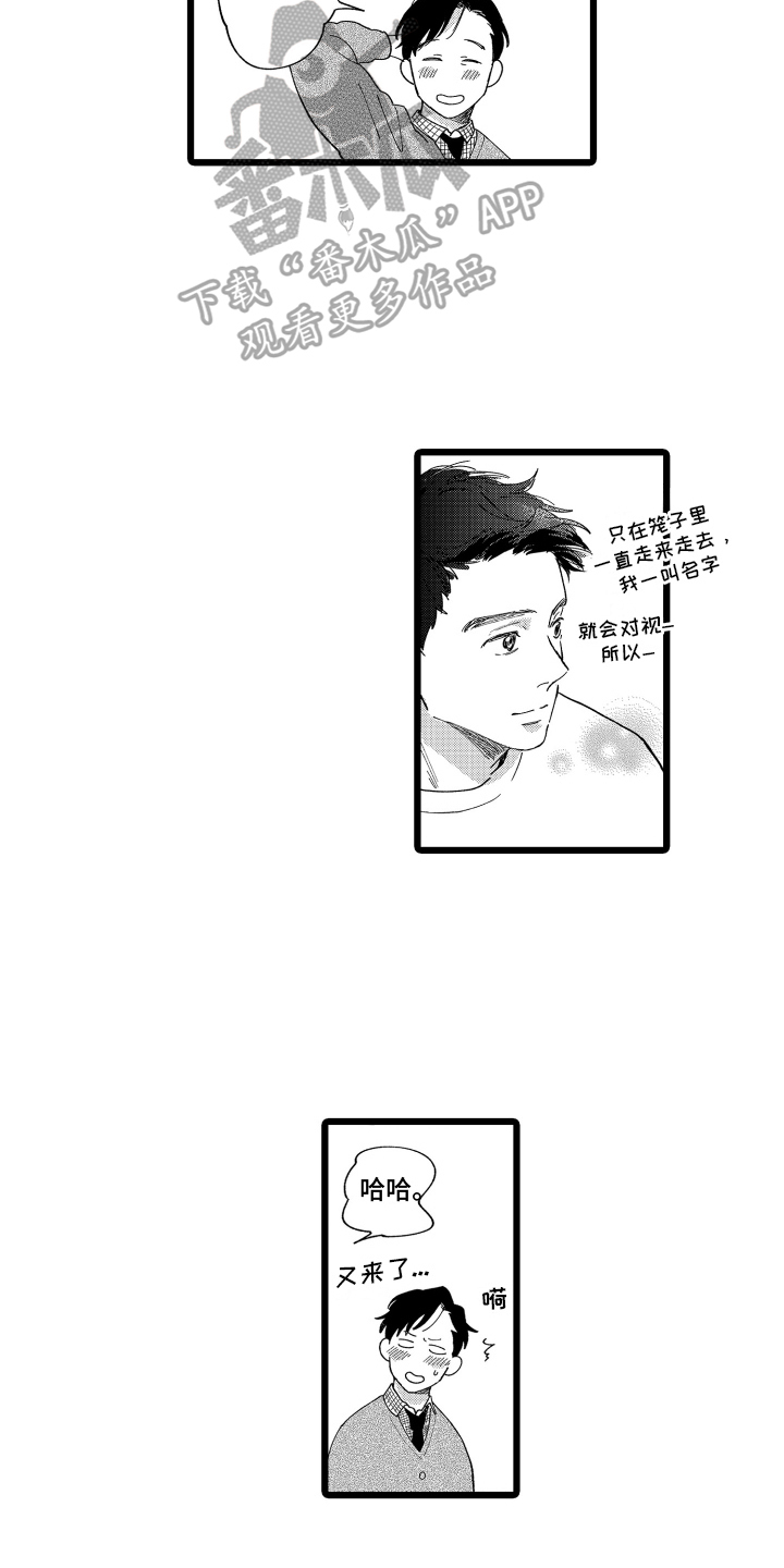 红豆与红芸豆区别漫画,第12章：很可爱1图