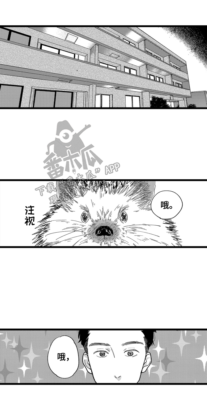 红豆与赤豆漫画,第16章：提议2图