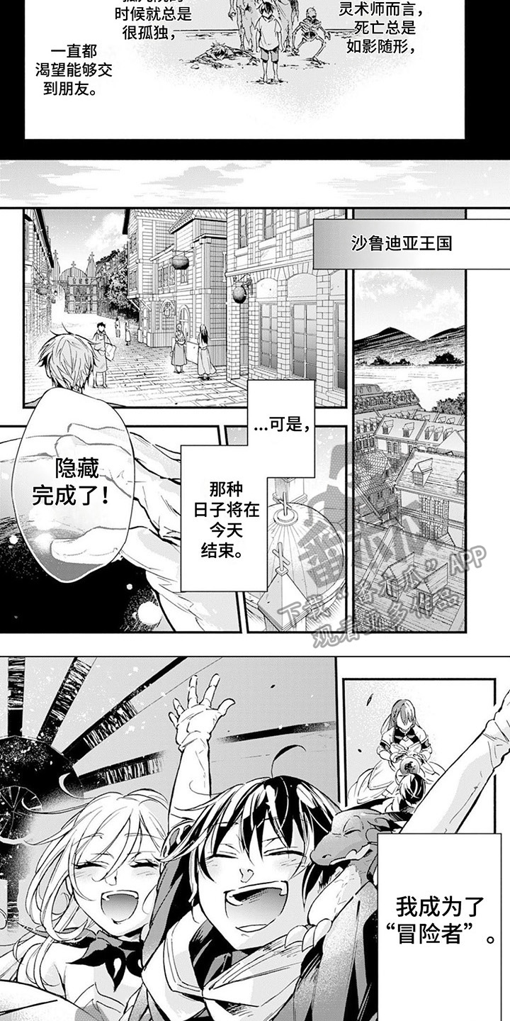 死灵法师升级攻略漫画,第5章：职业隐藏1图