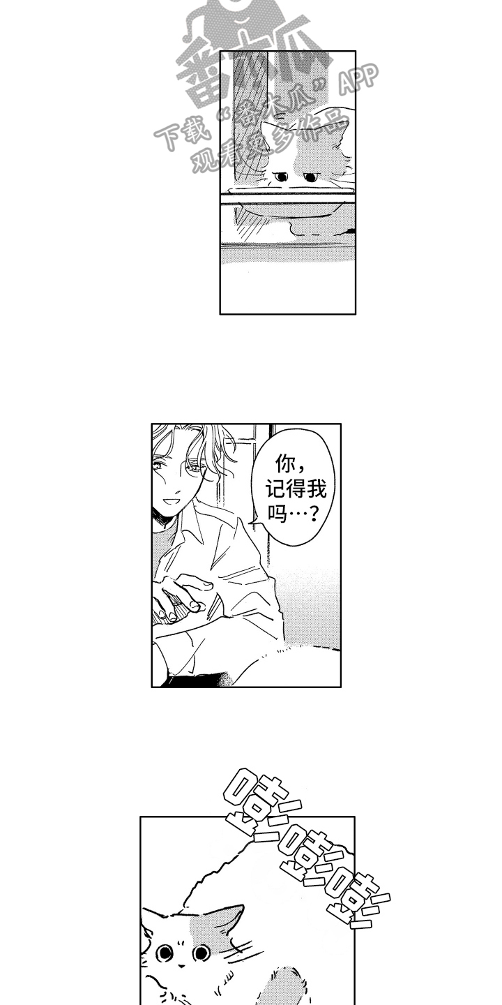 赤脚天使漫画谁攻谁受漫画,第26章：惊喜2图