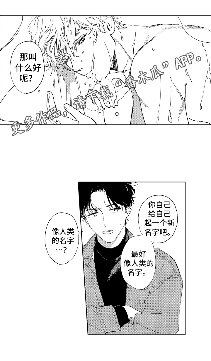 赤脚天使漫画在线观看漫画,第4章：名字2图