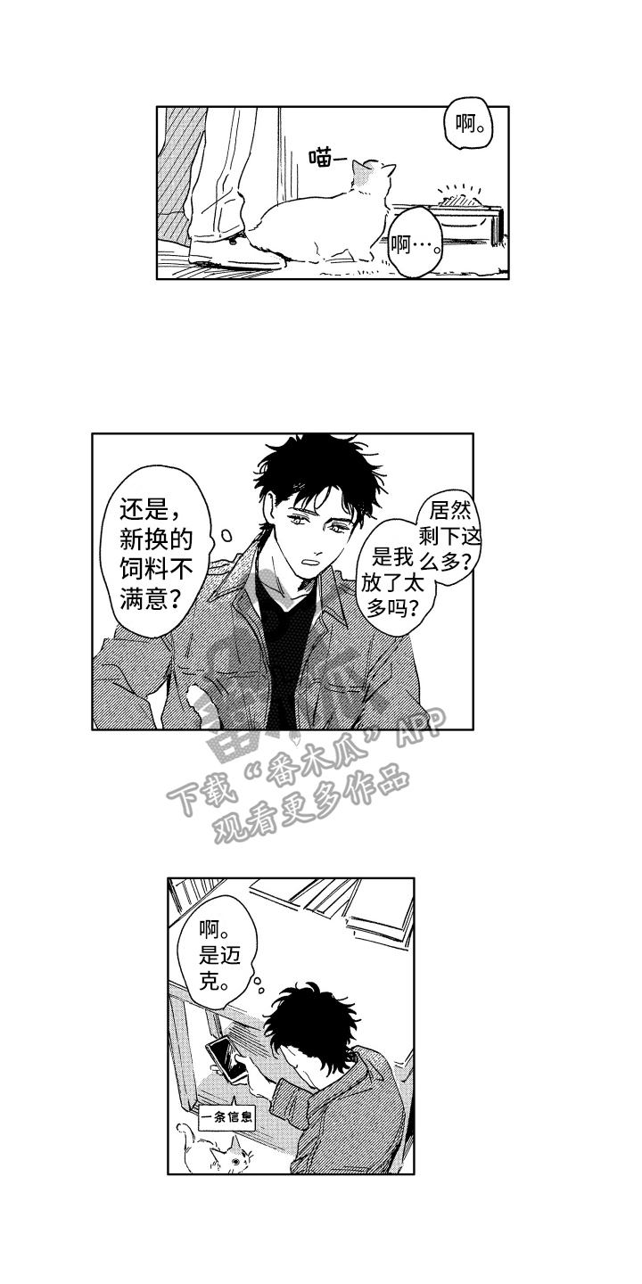 赤脚天使在拷贝叫什么漫画,第26章：惊喜2图