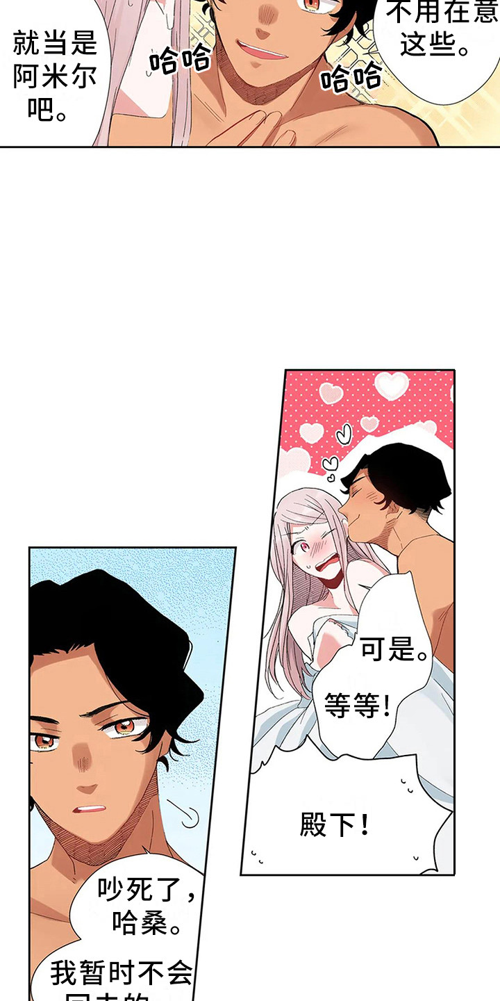 平民王妃夏琳婆婆是谁漫画,第6章：奢华2图