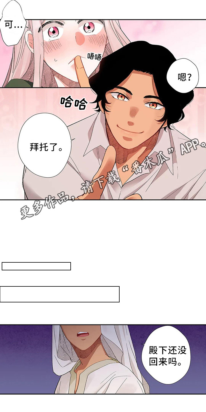 平民王妃短剧第二季漫画,第10章：果然是她2图