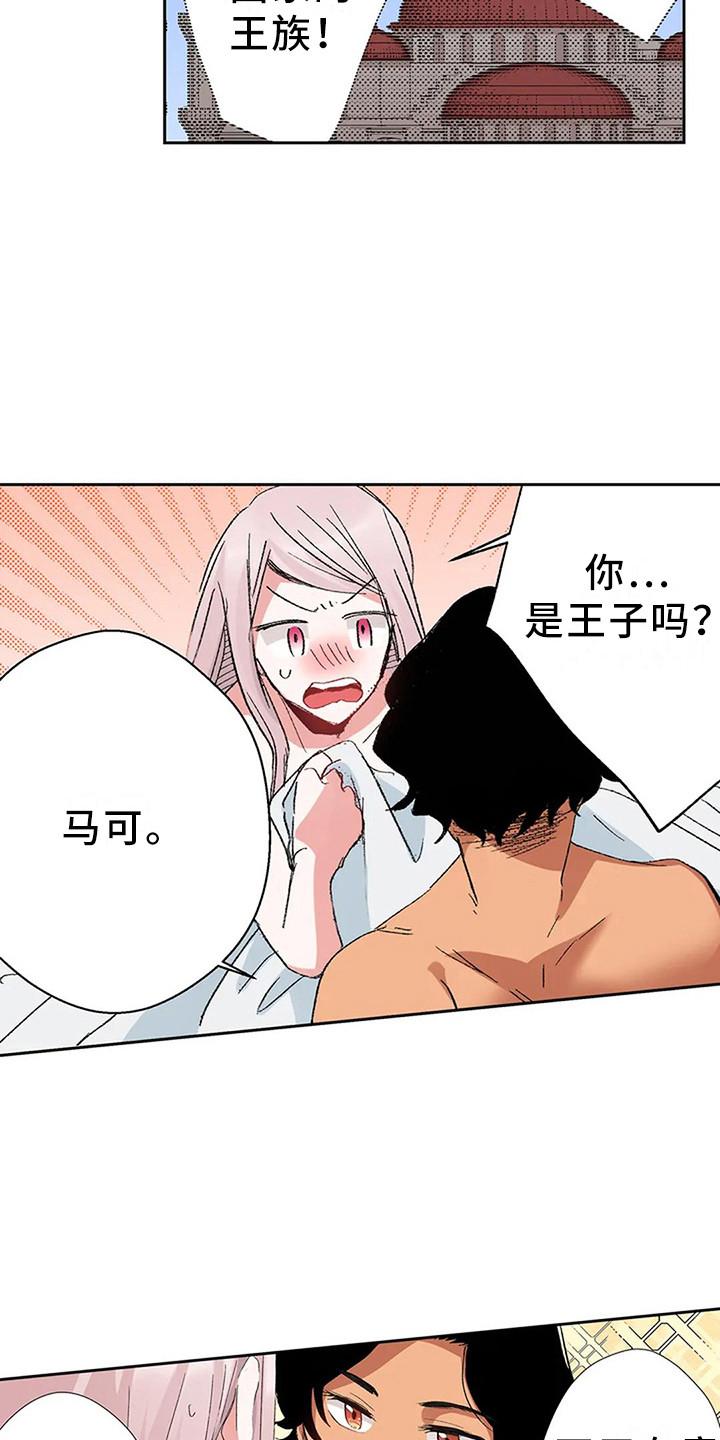 平民王妃夏琳婆婆是谁漫画,第6章：奢华1图