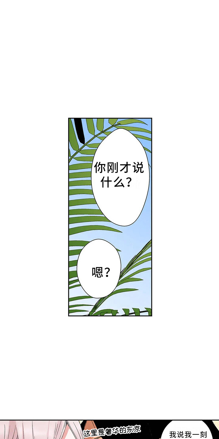 平民王妃电视剧漫画,第6章：奢华1图