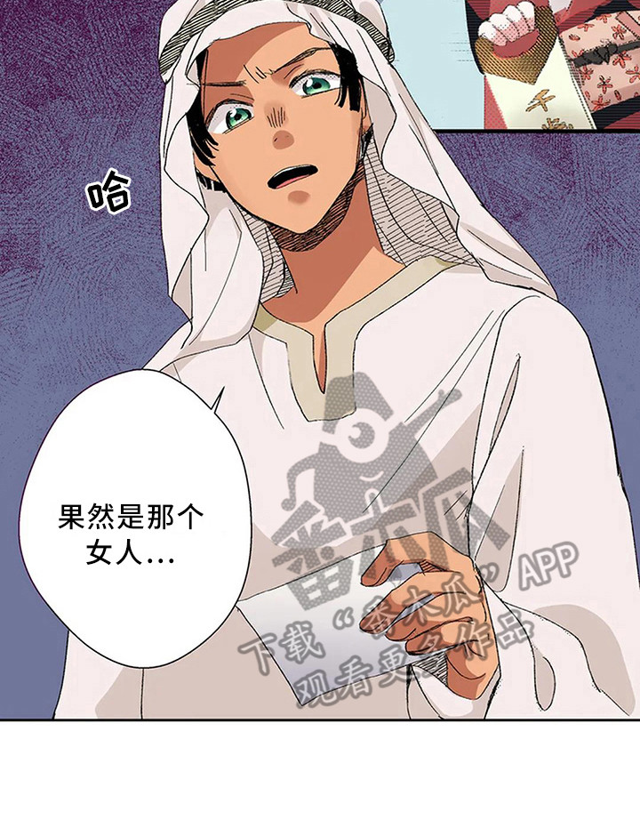 平民王妃有哪些漫画,第10章：果然是她1图