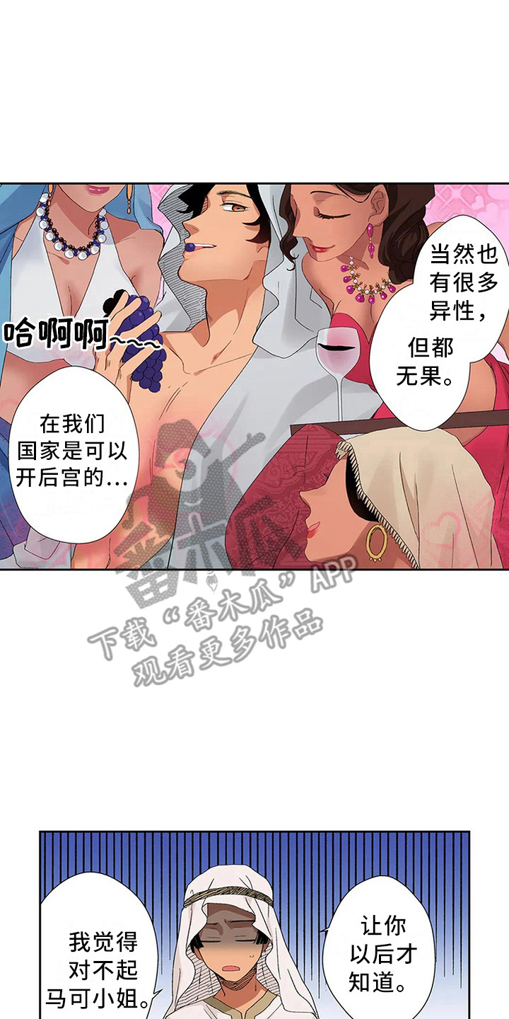 平民王妃漫画,第11章：难以启齿2图