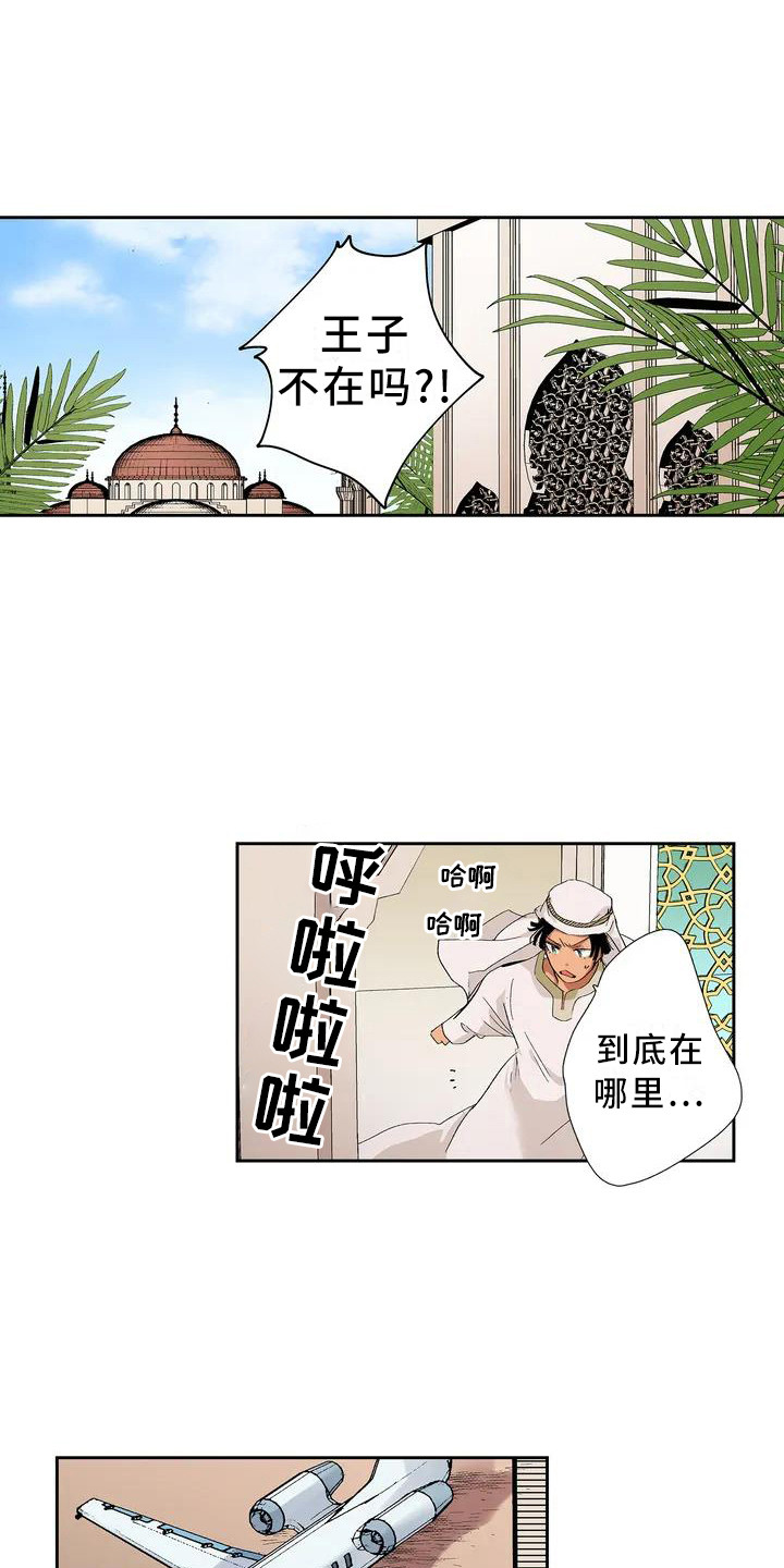 平民王妃夏琳婆婆是谁漫画,第1章：王子1图