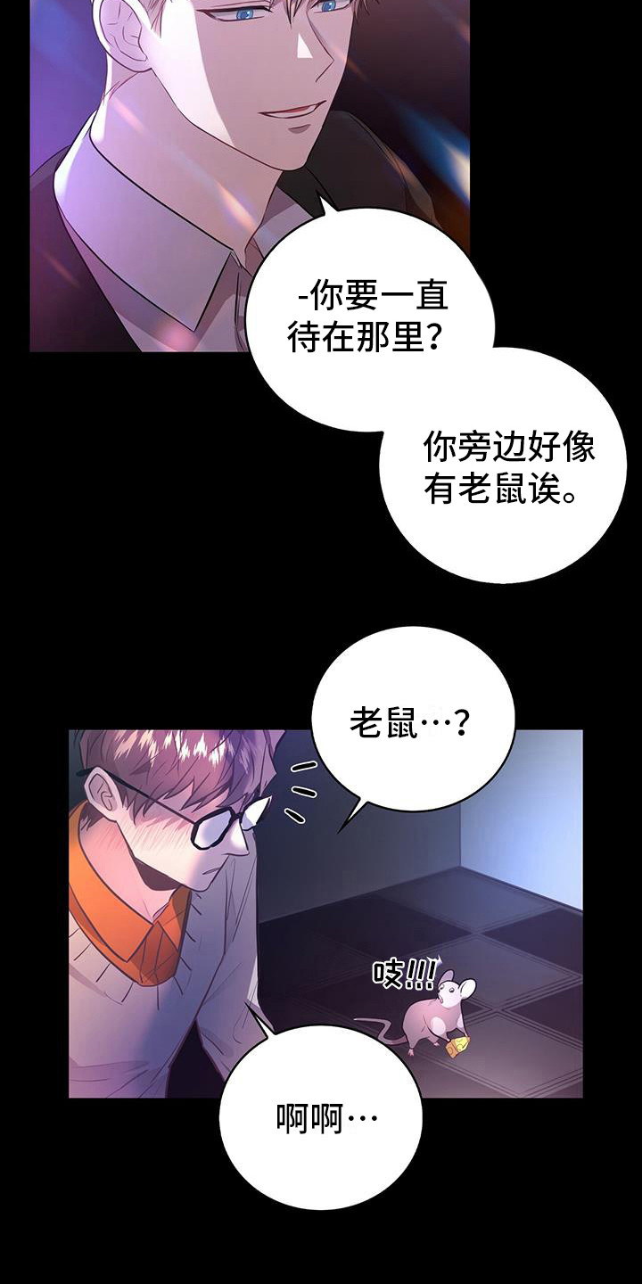 恶棍的宝贝妺妹第二季漫画,第6章：老鼠2图