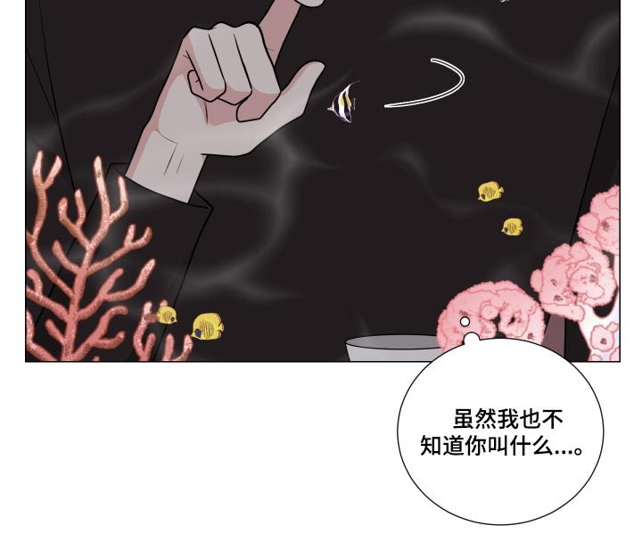 继承关系特征有哪些内容漫画,第78章：承受1图