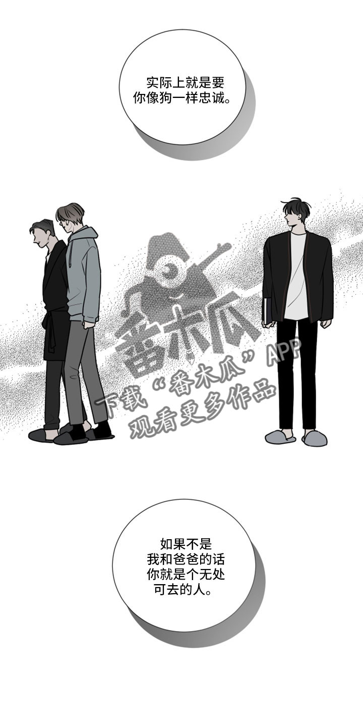 接口间不能有继承关系漫画,第115章：狗崽子1图