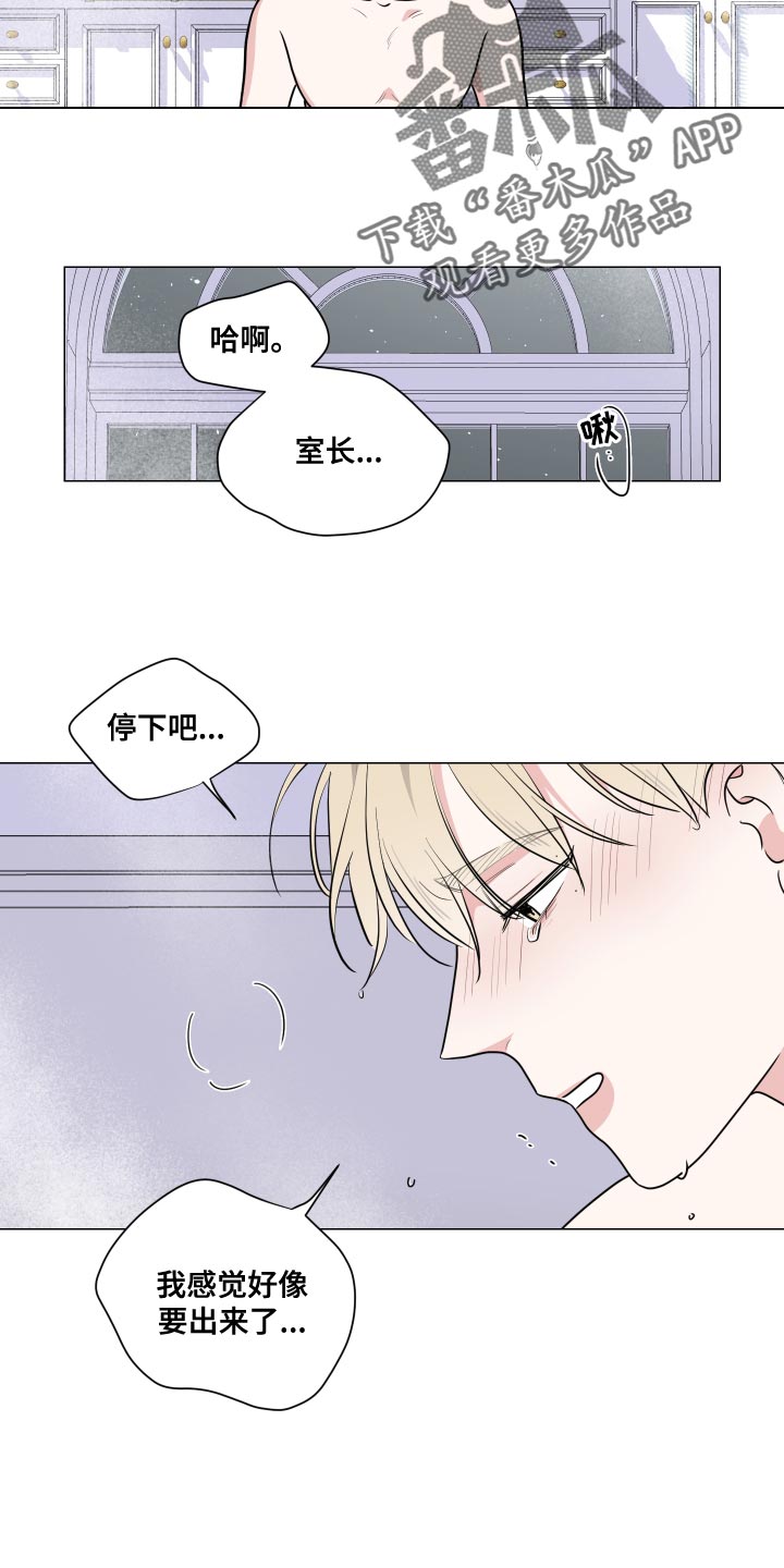 继承关系分配方式漫画,第71章：就这样待着吧1图