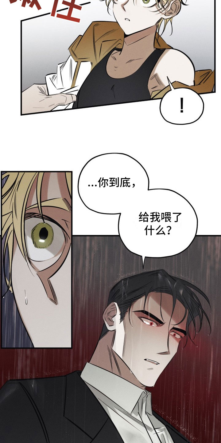 血色糖果漫画下拉式漫画,第1章：糖果2图