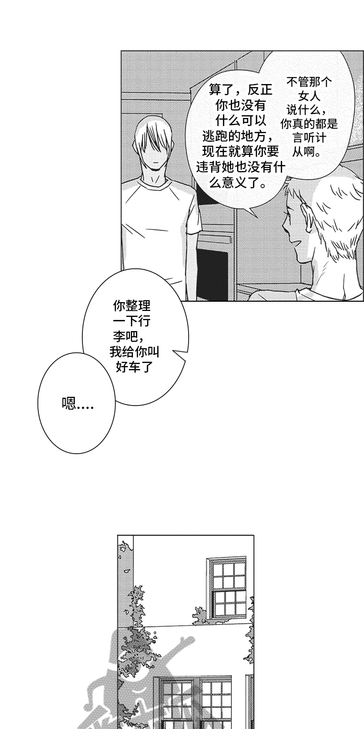 恋爱竞赛抖音小游戏玩一玩漫画,第16章：准备2图