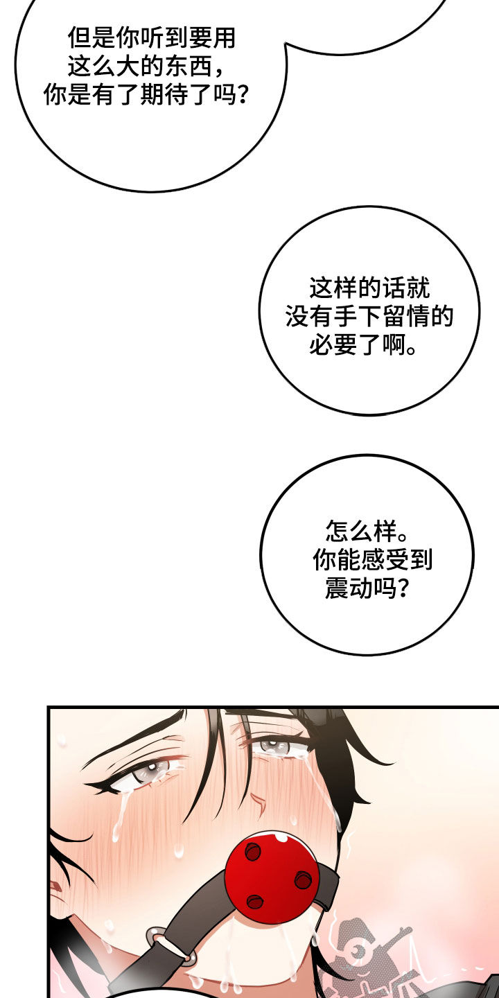 最高机密解读漫画,第33章：报仇2图