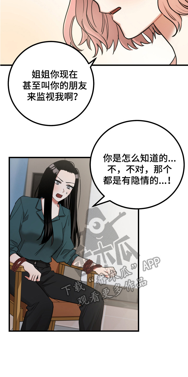 最高机密解读漫画,第25章：制定计划1图