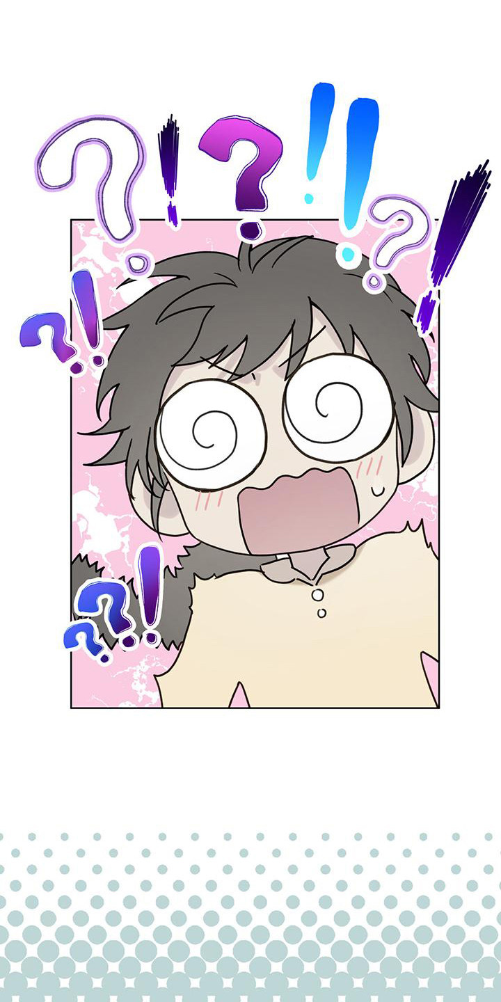 霸道引导漫画,第6章：趣闻1图