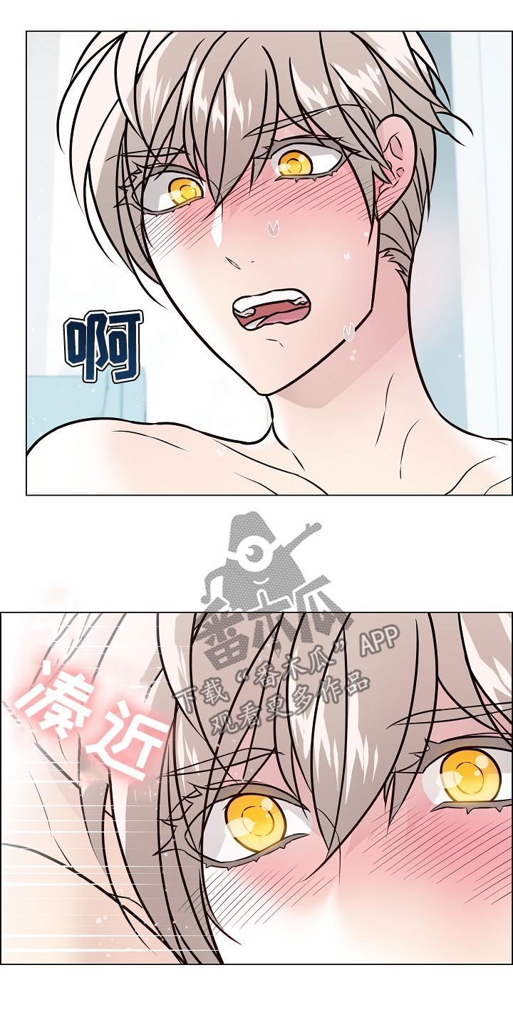 单身税的税收标准漫画,第79章：你醒了2图