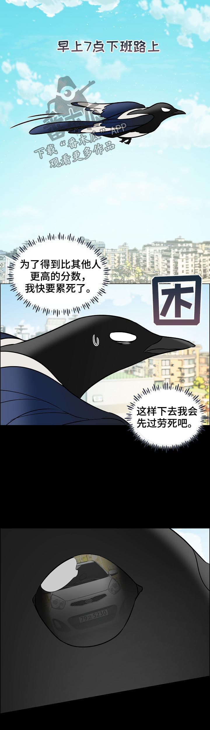 单身税解释漫画,第68章：照顾2图