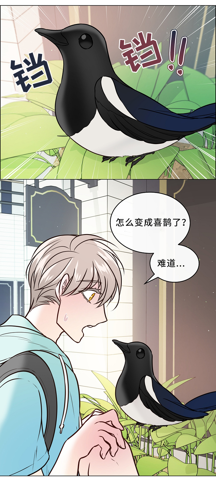 单身税从什么时代开始漫画,第43章：喜鹊的秘密1图