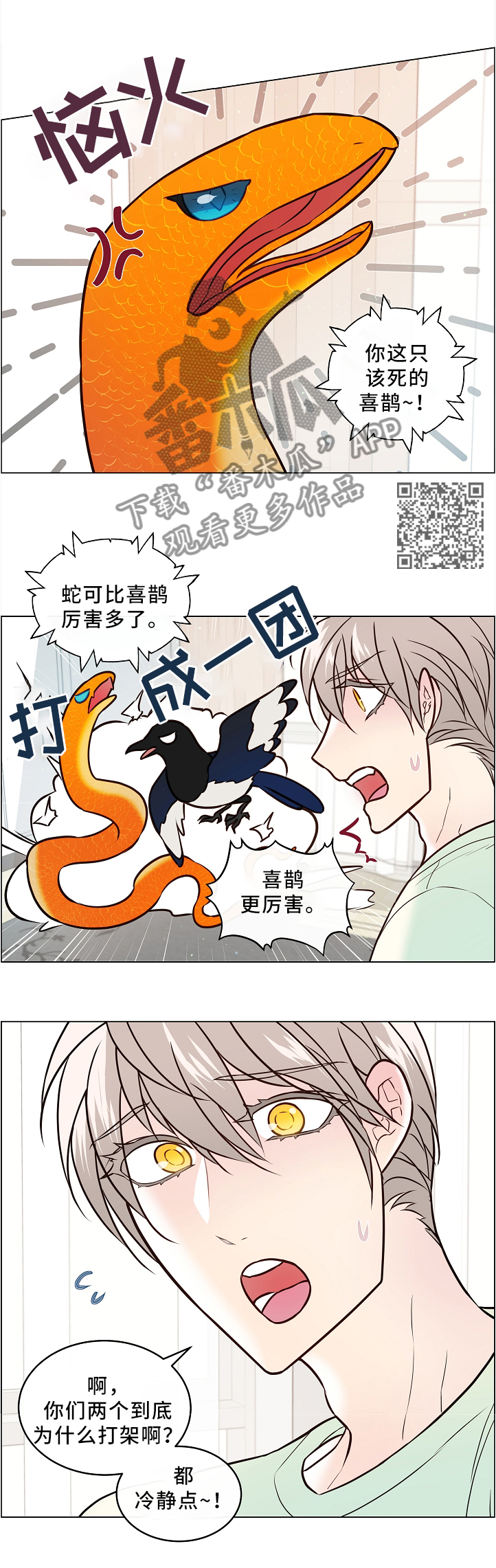 单身税日本漫画,第46章：两只宠物1图