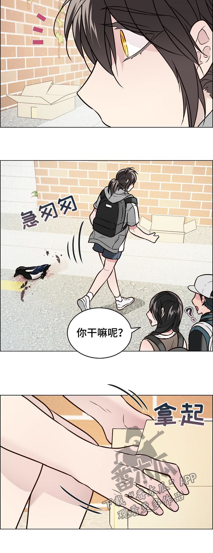 单身税的合理性讨论漫画,第67章：交通事故2图