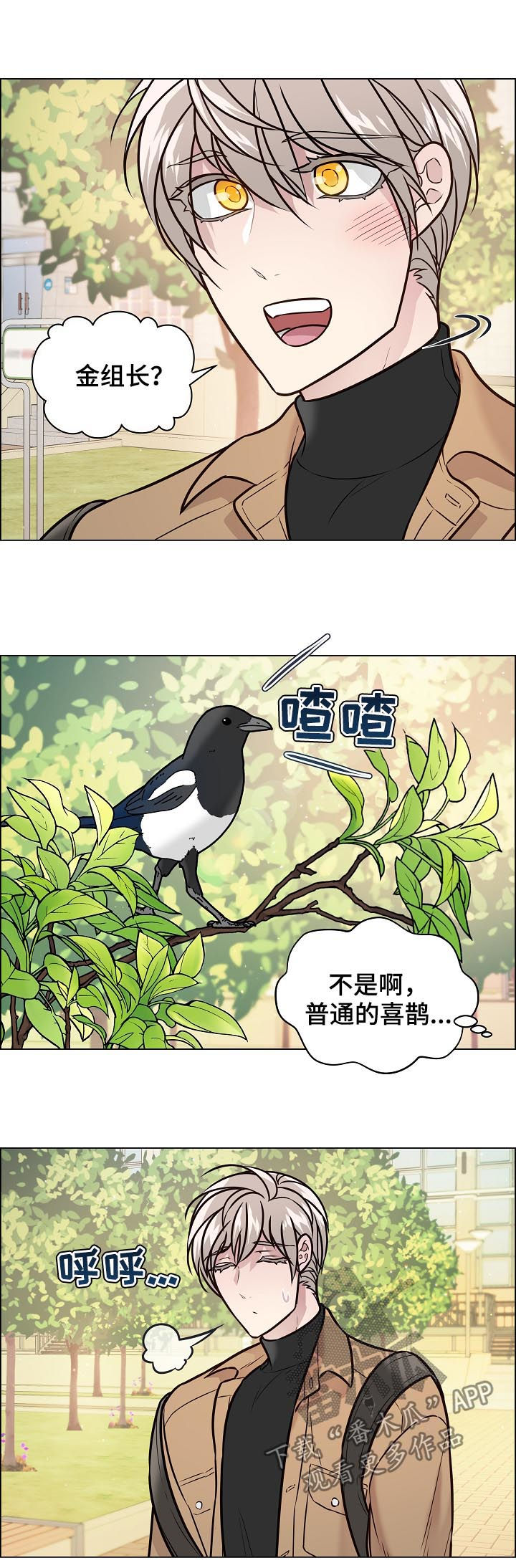 单身税解释漫画,第72章：搬家1图