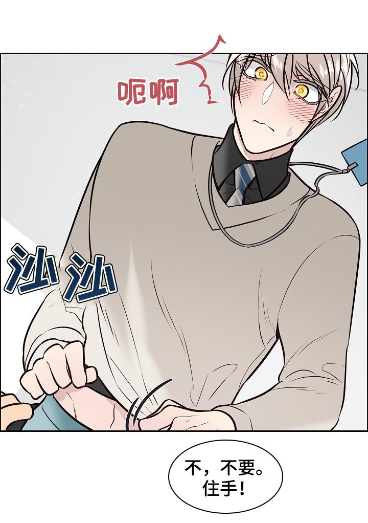 单身税漫画,第91章：金组长归来1图