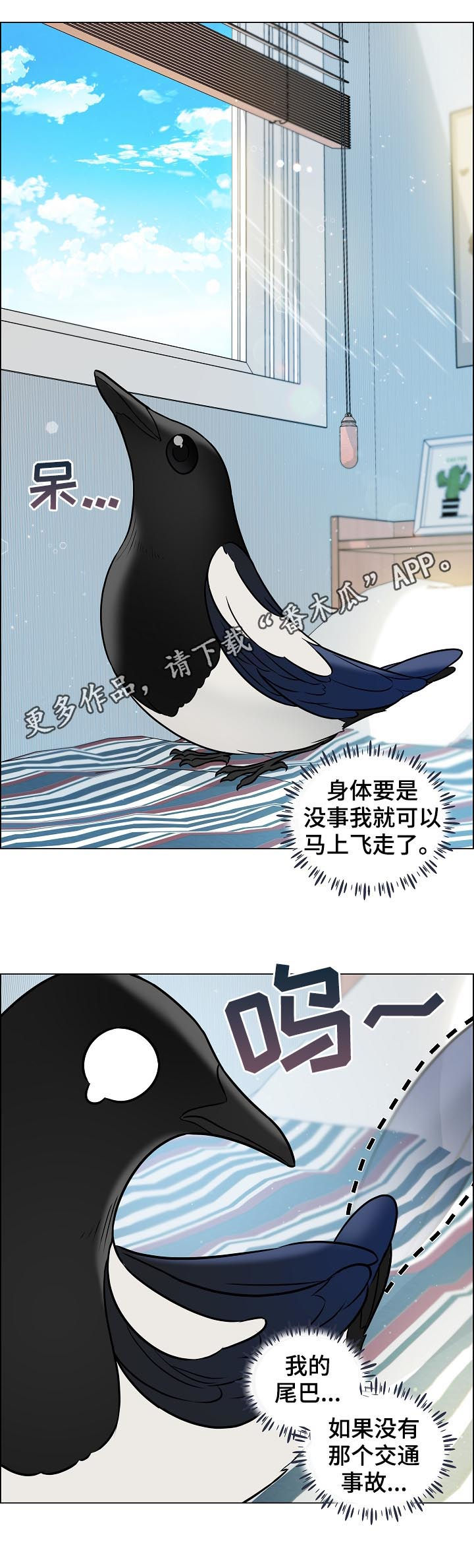 单身税是否会对个人的经济状况产生重大影响漫画,第69章：安稳1图