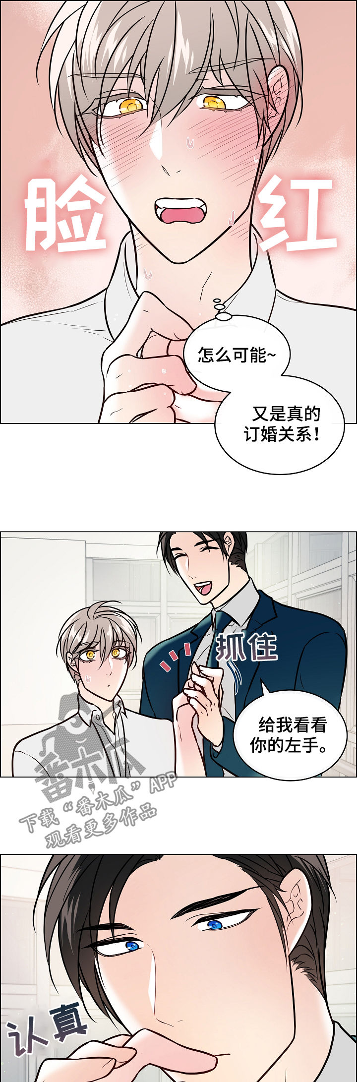 单身税卡漫画,第48章：戒指1图