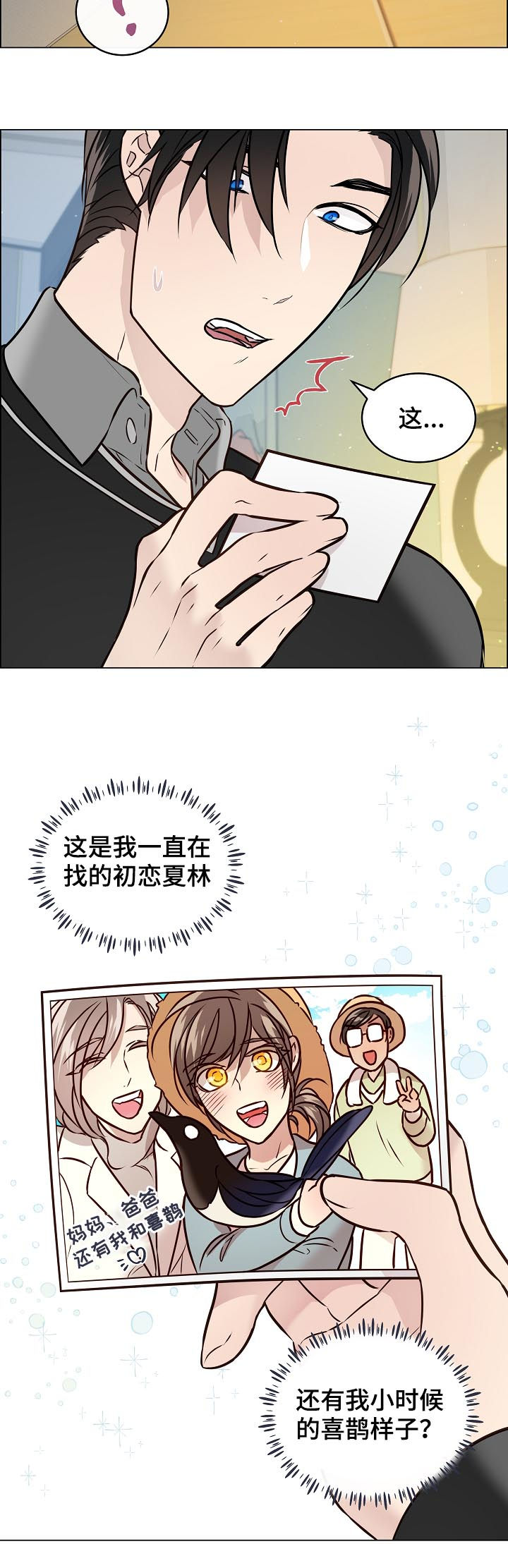 单身税有吗漫画,第66章：照片2图