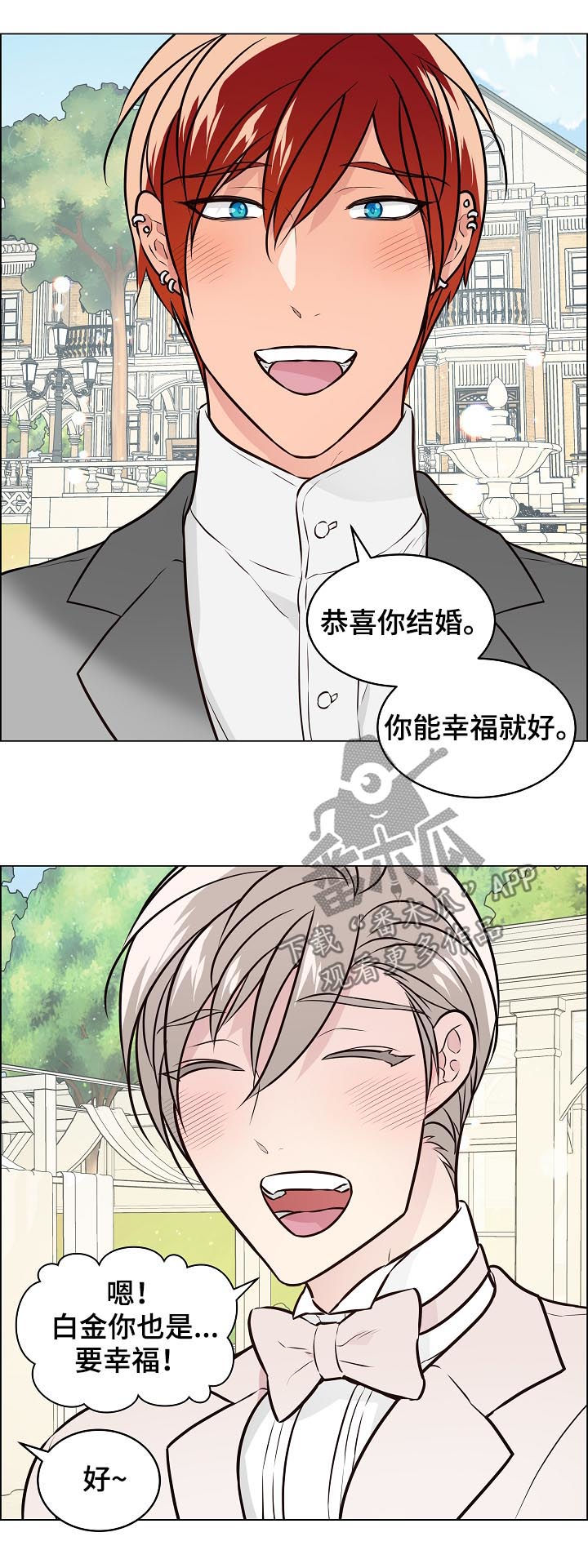 单身税的合理性探讨漫画,第94章：结婚1图