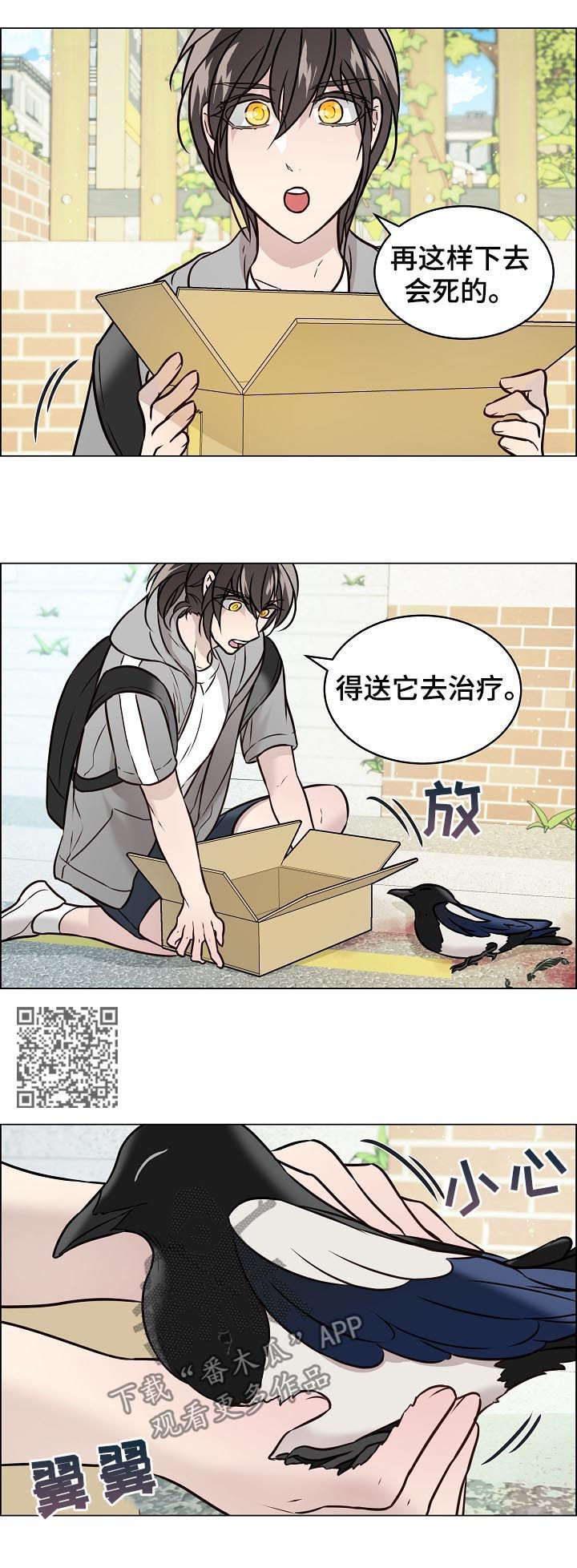 单身税的合理性讨论漫画,第67章：交通事故1图