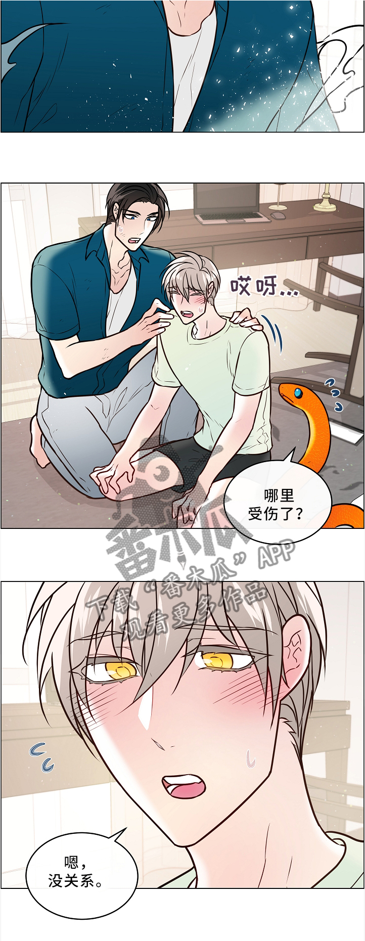 单身税日本漫画,第46章：两只宠物2图