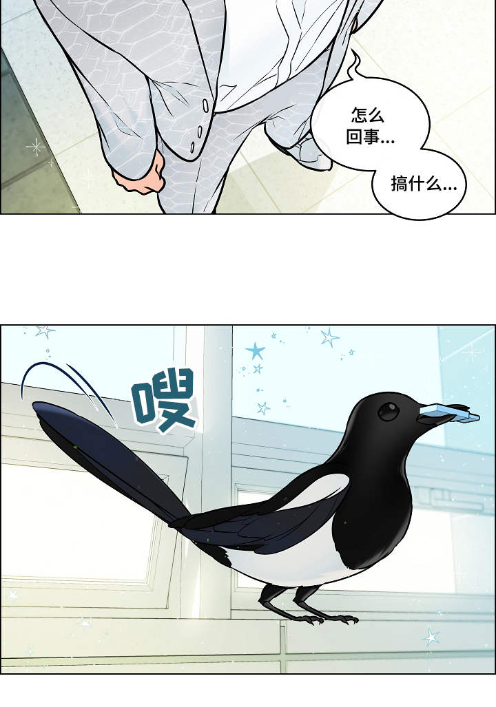 单身税从什么时代开始漫画,第28章：赶到2图