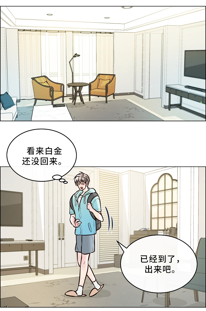 单身税从什么时代开始漫画,第43章：喜鹊的秘密1图