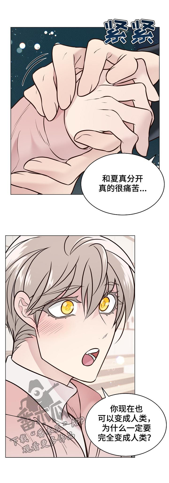 单身税是怎么回事漫画,第93章：戒指破碎2图