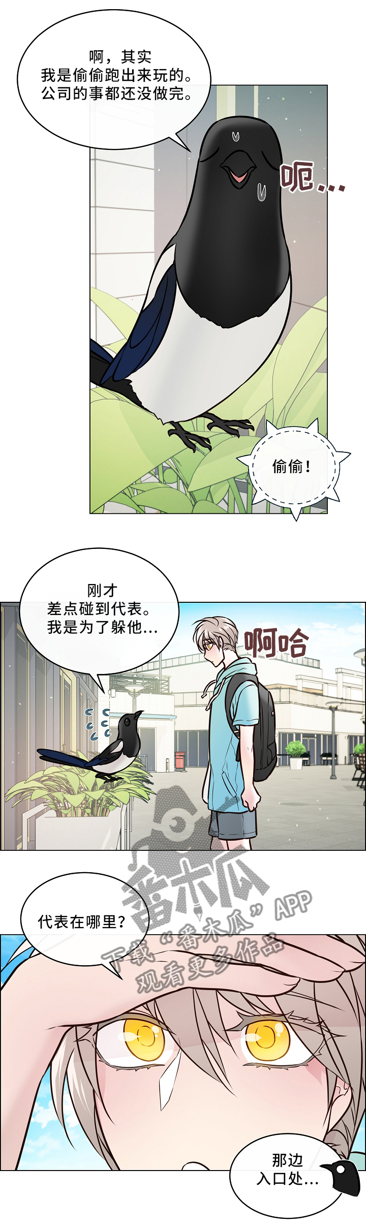 单身税从什么时代开始漫画,第43章：喜鹊的秘密2图