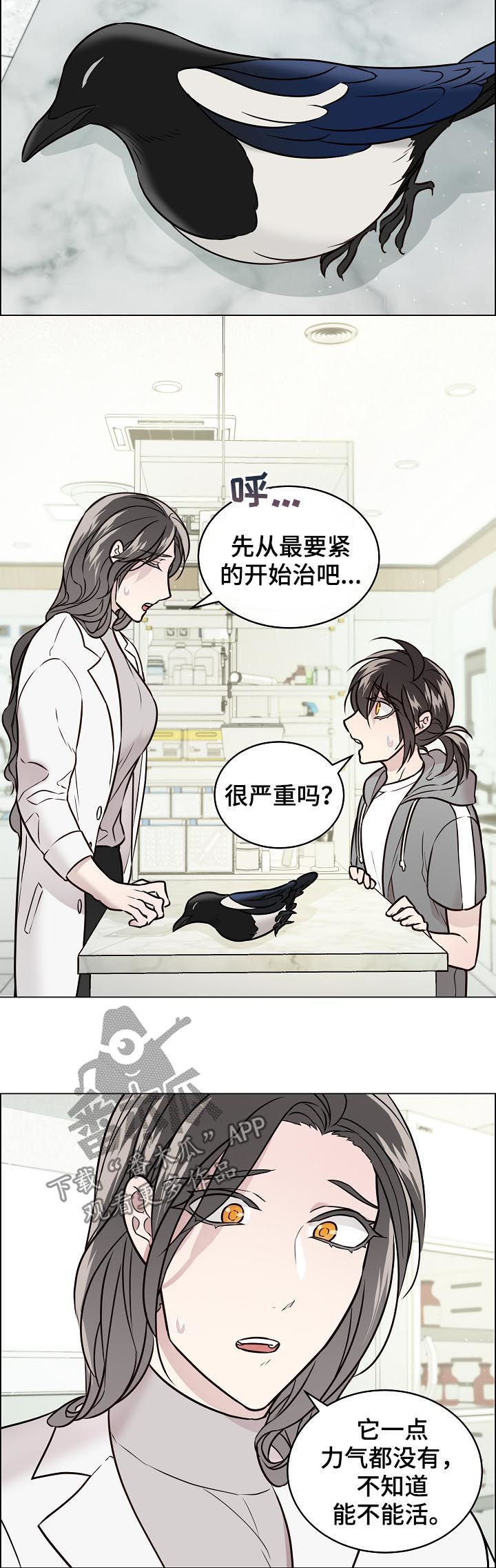 单身税的合理性讨论漫画,第67章：交通事故2图