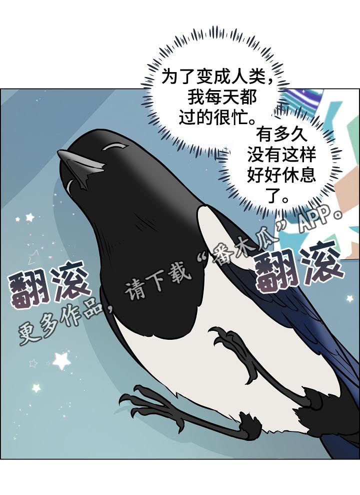 单身税的税收标准漫画,第70章：离开1图