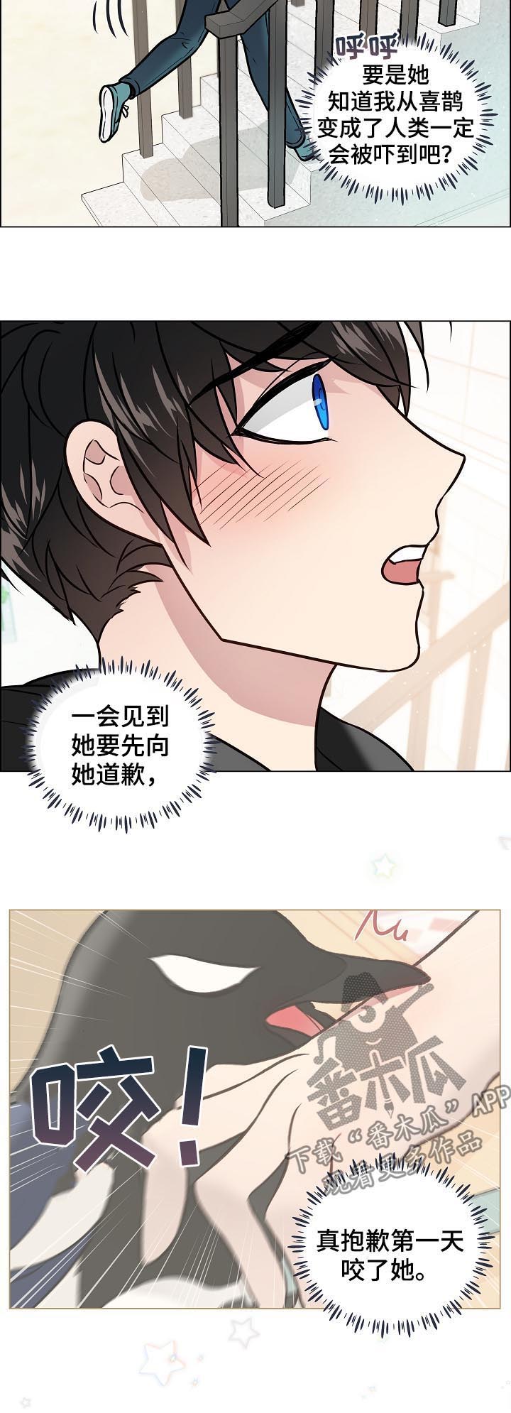 单身税解释漫画,第72章：搬家2图