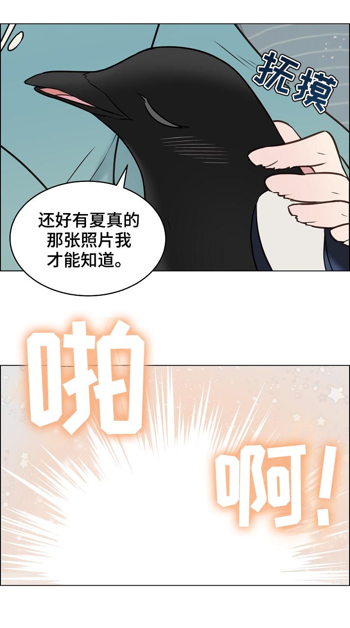 步步单身税漫画,第76章：相认2图