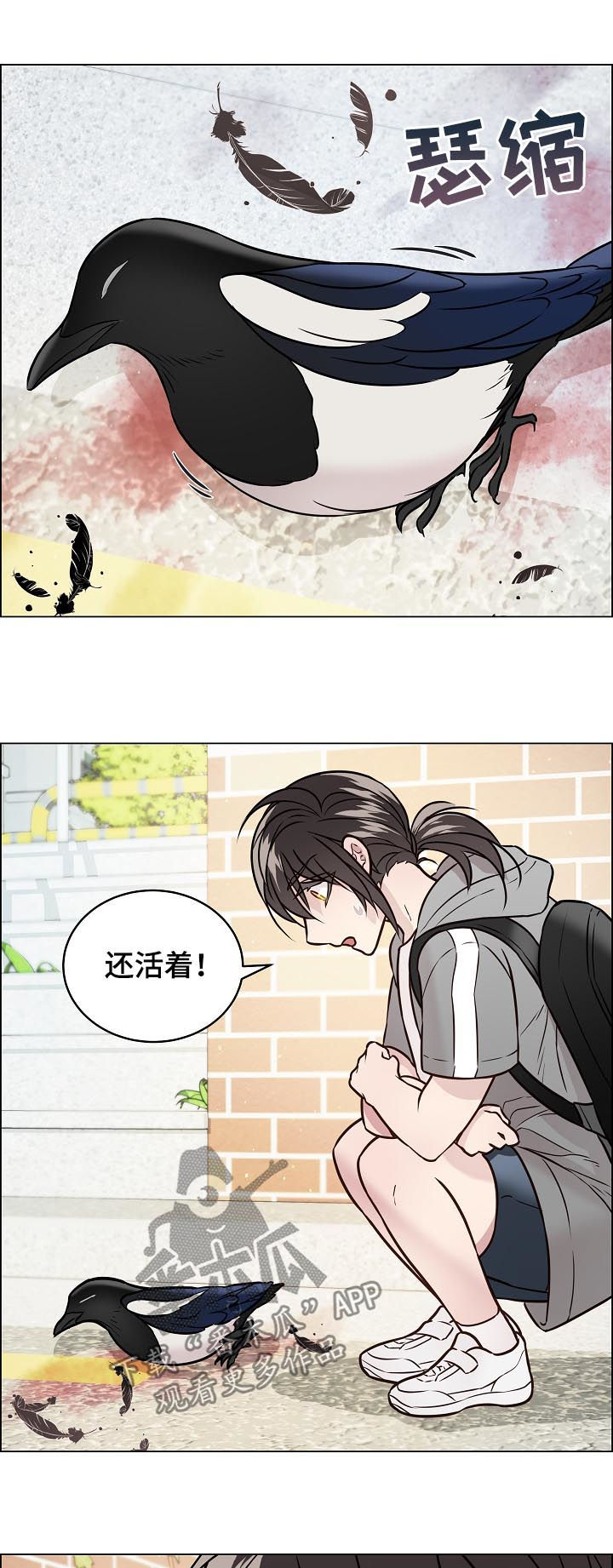 单身税的合理性讨论漫画,第67章：交通事故1图