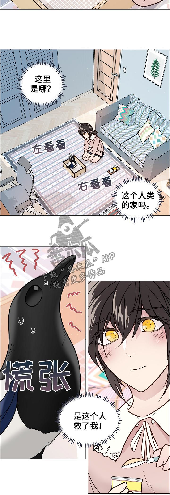 单身税解释漫画,第68章：照顾2图