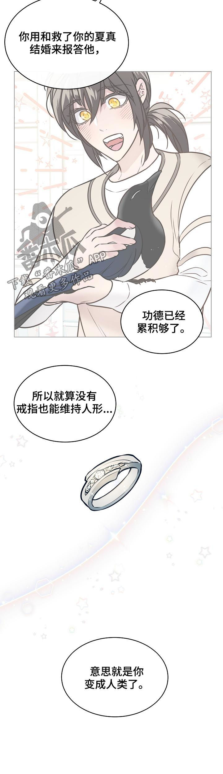 单身税的税收标准漫画,第94章：结婚2图